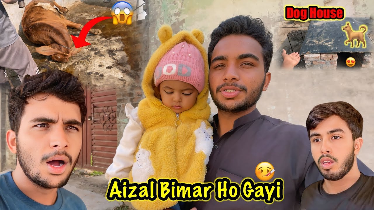 Aizal Bimar Ho Gayi 🤒New Janwar Ko Kya Ho Gya 😭Dogs Home 😍