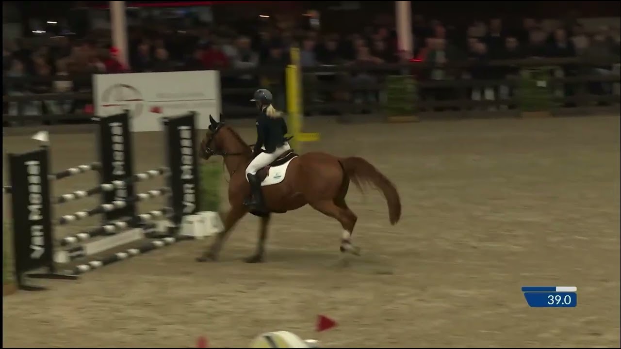 Victoire JW Stallion Competition Final Azelhof 
