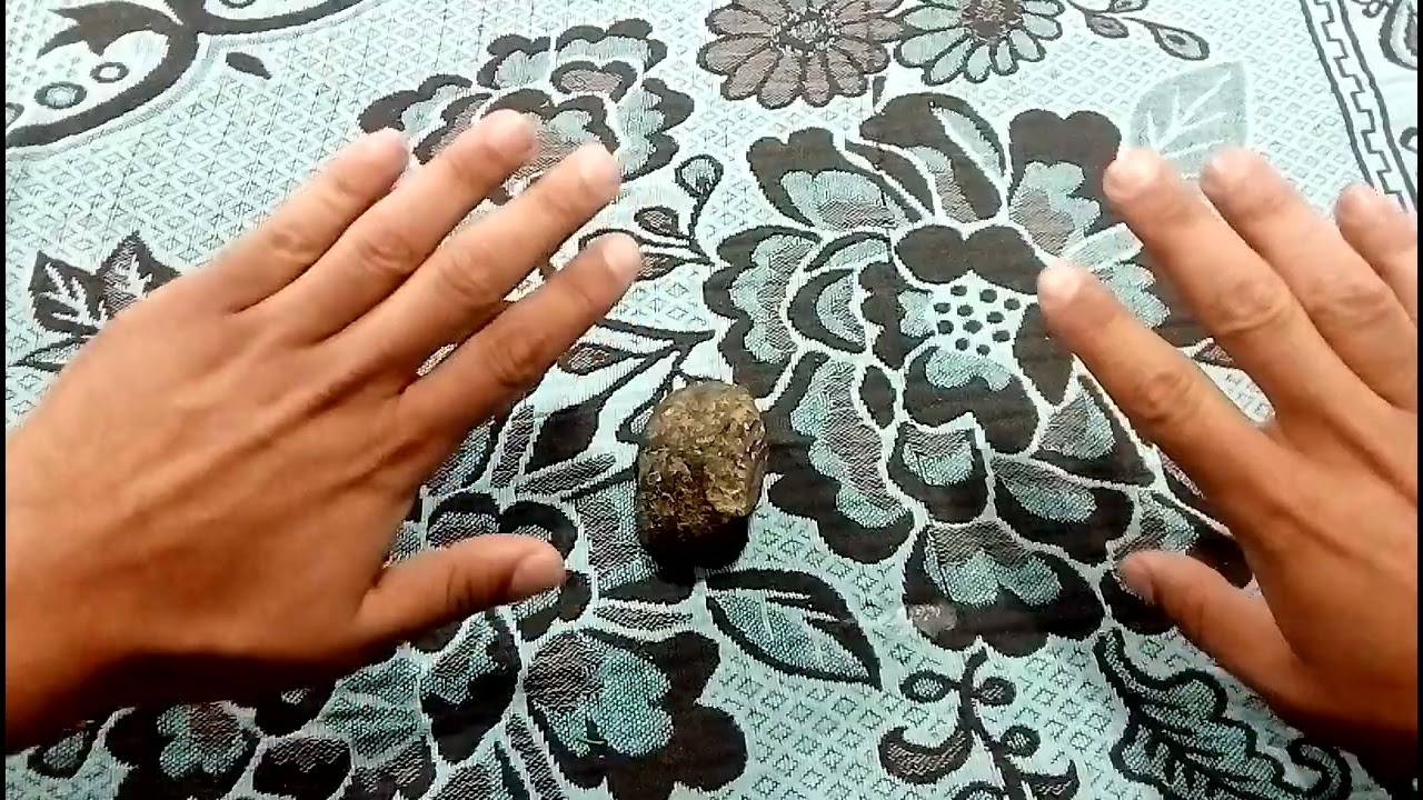 نيزك...معلومات يخفيها عنك الخبير أو مشتري 💯✌️✌️✌️