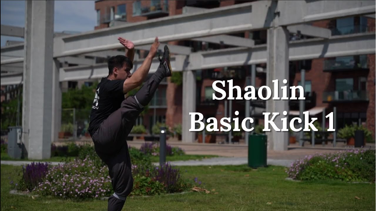Shaolin Kick Tutorial - Basic Kick and Stance #1