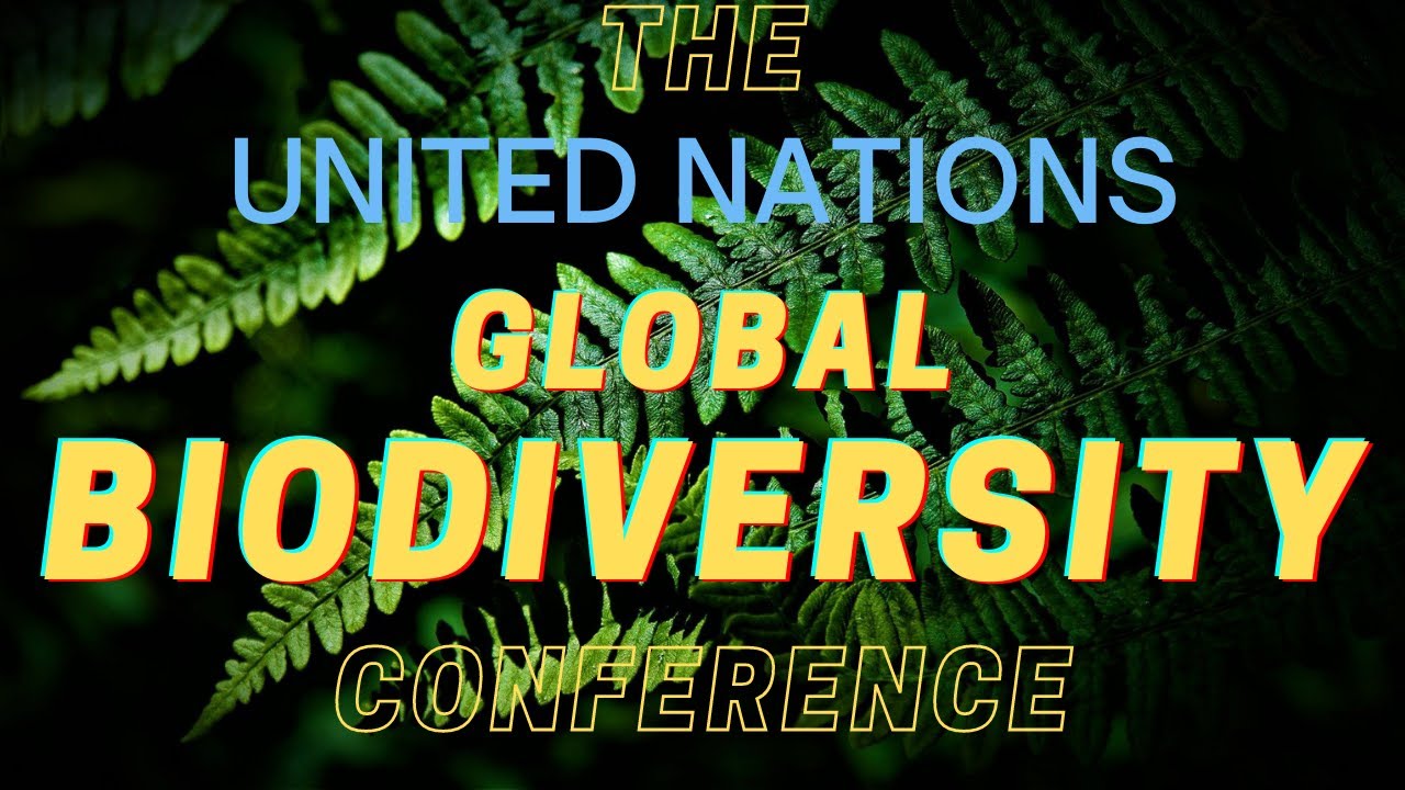 What is CoP 15?