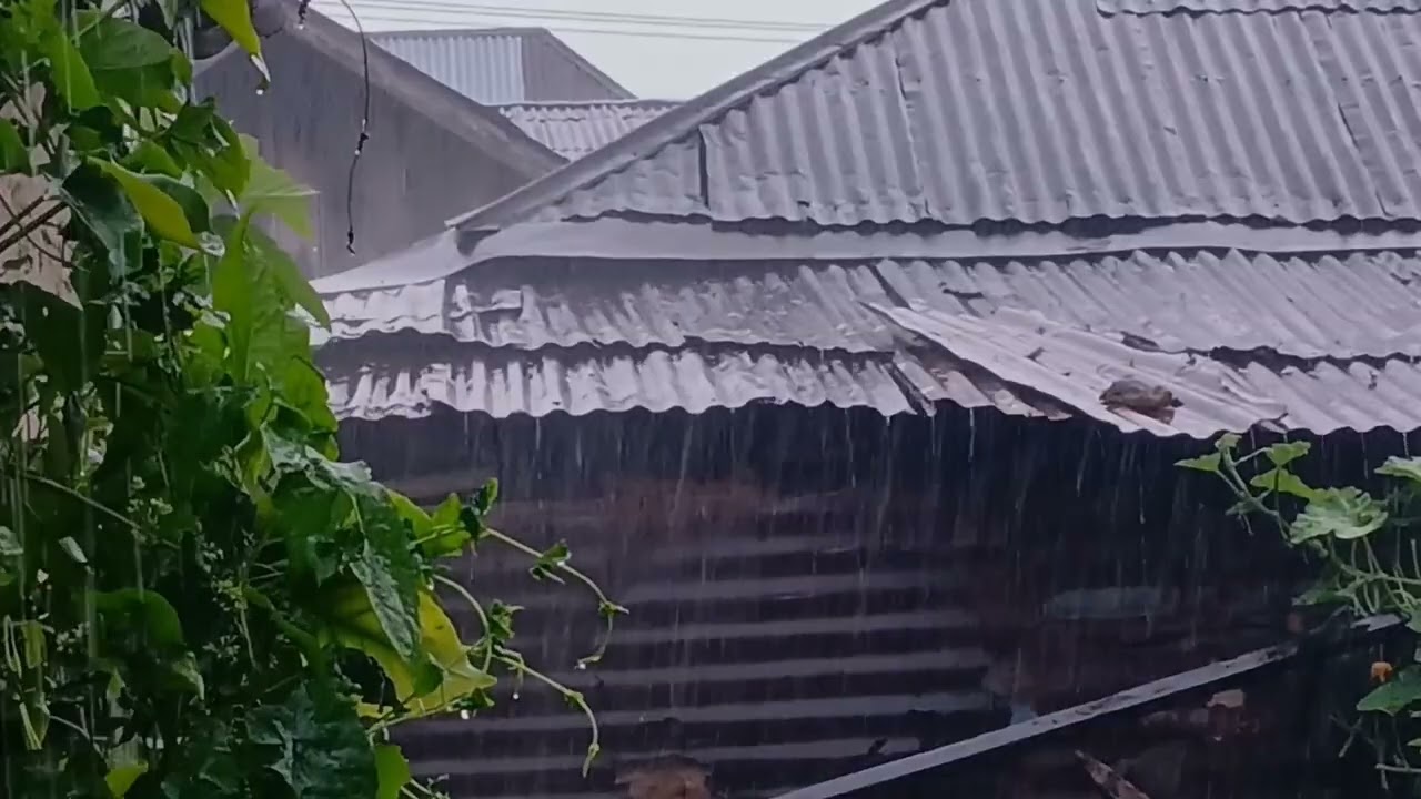 Heavy Rain + Thunder Sounds | Night Rain for Deep Sleep