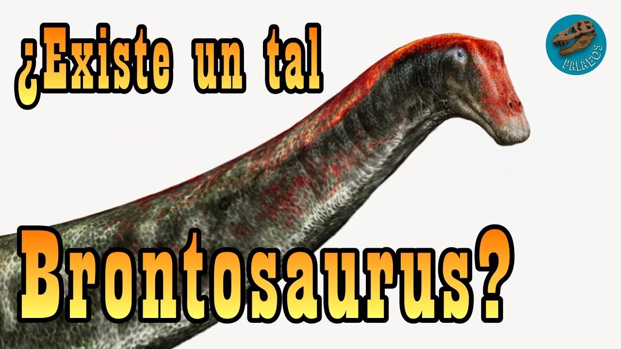 ¿Existe un tal Brontosaurus?