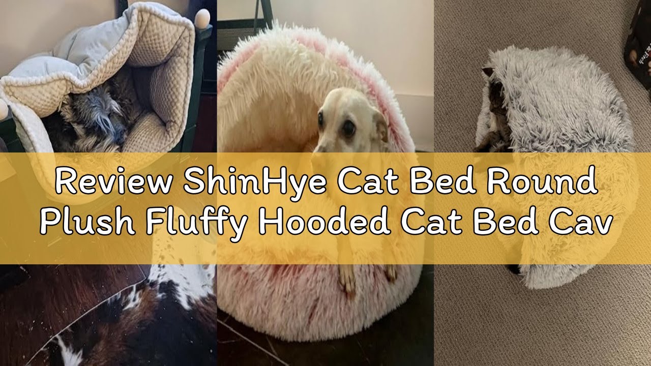 Review ShinHye Cat Bed Round Plush Fluffy Hooded Cat Bed Cave, Cozy for Indoor Cats or Small Dog bed