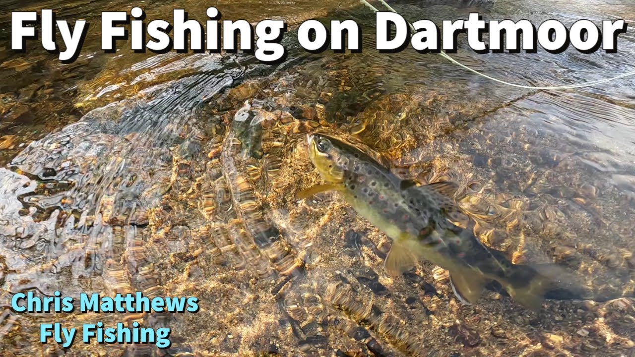 Fly fishing on Dartmoor