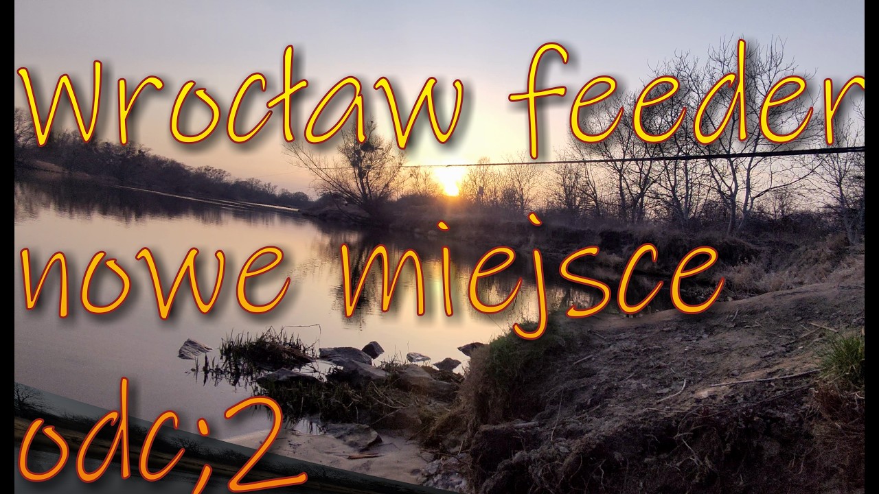 Feeder Odra odc: 2 czy  nowa miejscówka ma potencjał