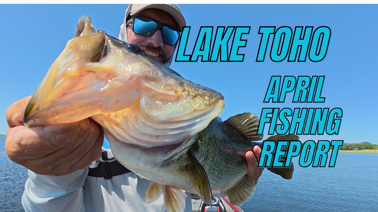 LAKE TOHO BASS FISHING  | Lake Toho Frog Fishing