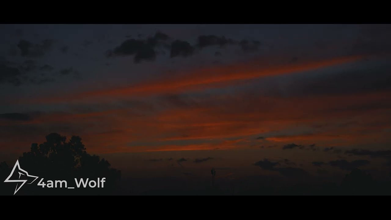 2022 | 4am Wolf