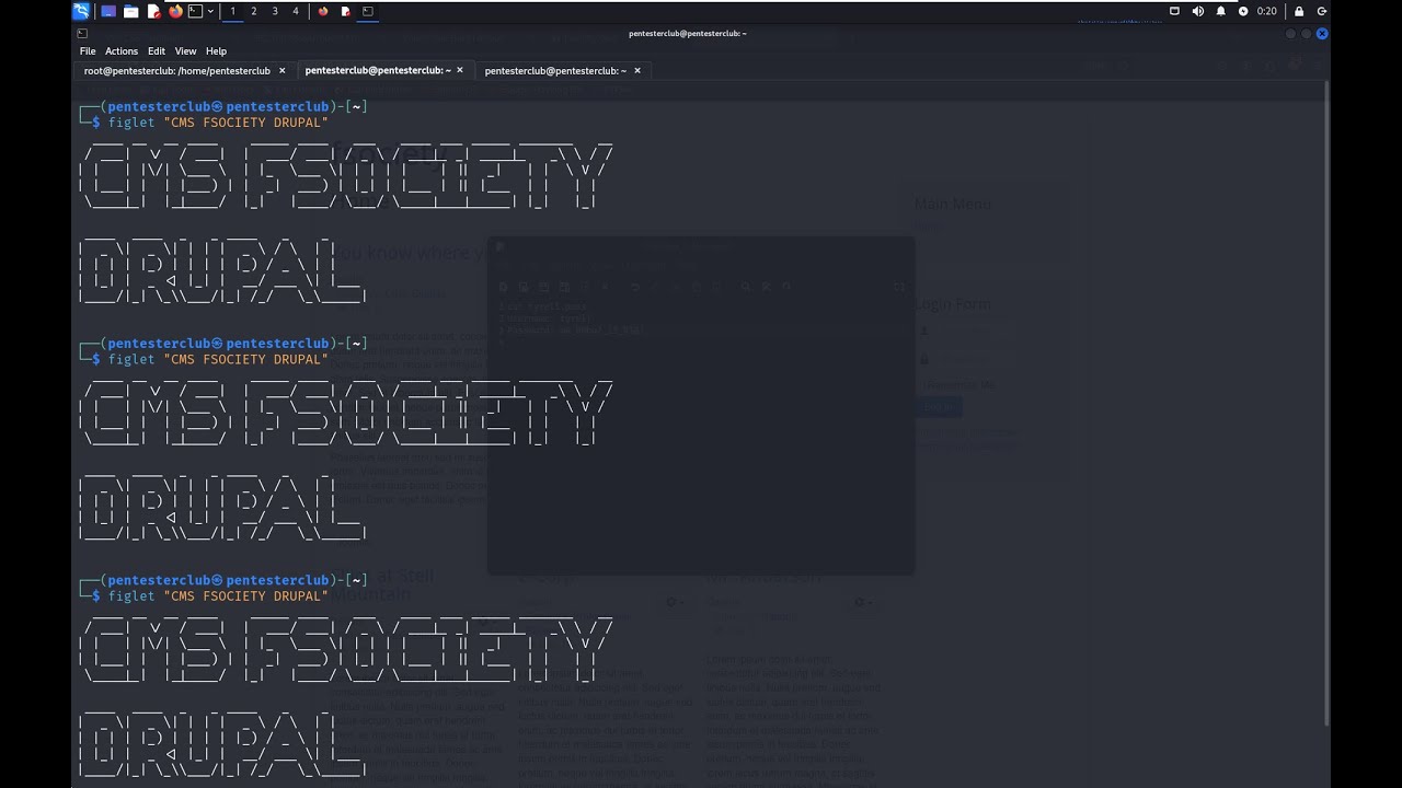 Master CMS Security: Penetration Testing & CTF Challenges!