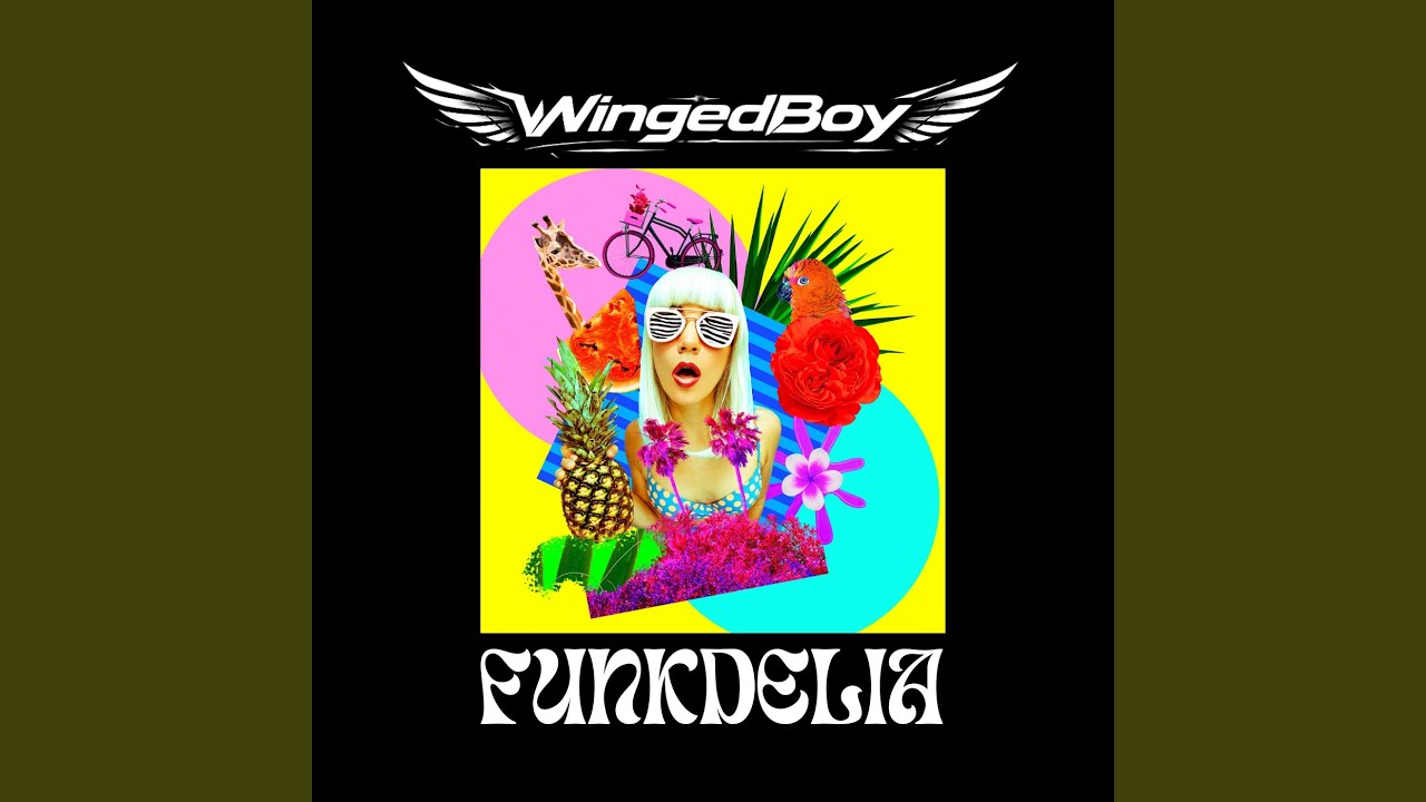 Funkdelia