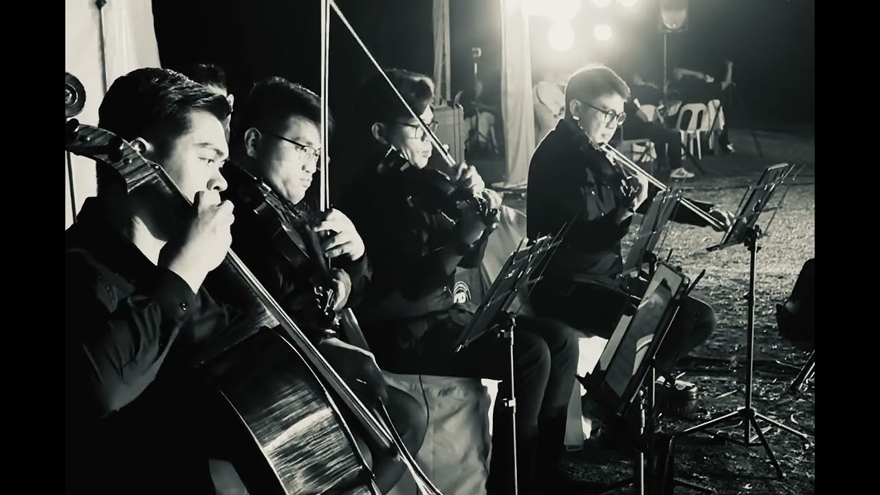 Until i found you (Cover) String Quaret