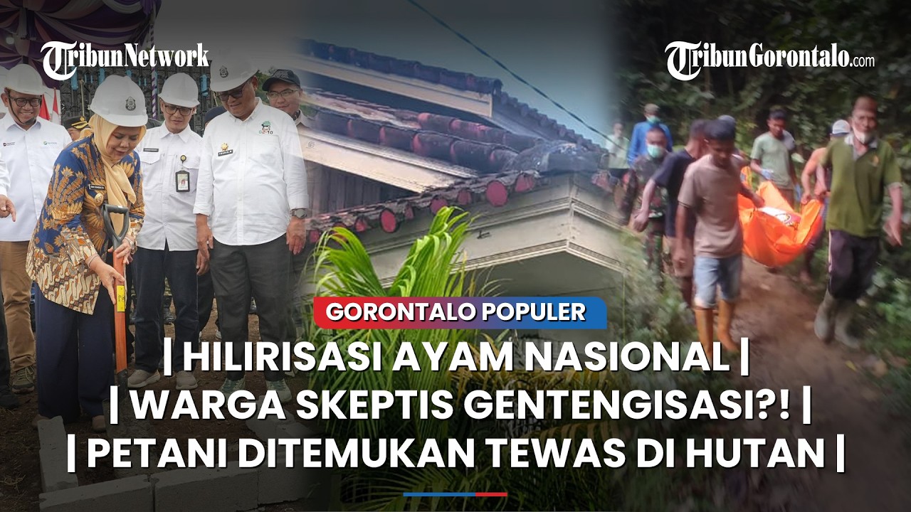 🔴GORONTALO POPULER ~ Hilirisasi Ayam Nasional, Gentengisasi, Identitas Petani DItemukan Meninggal