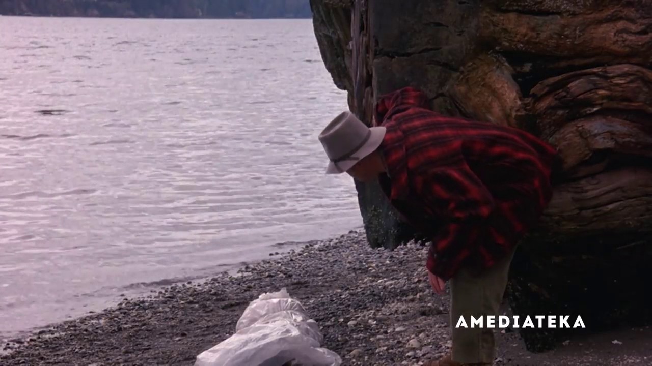 Феномен сериала Твин Пикс