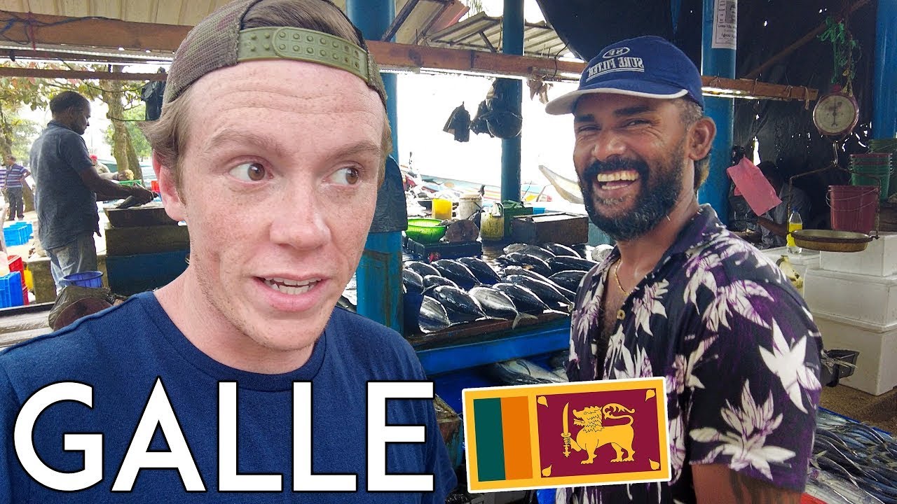 Southern SRI LANKA Travel Vlog (Beautiful)