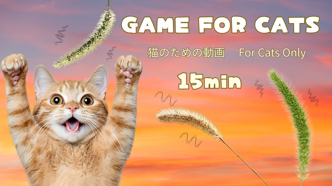 Vol.3For Cats Only 🌿 Moving Grass Toy (15min Cat Game Video)猫専用｜動く草じゃらし映像 15分