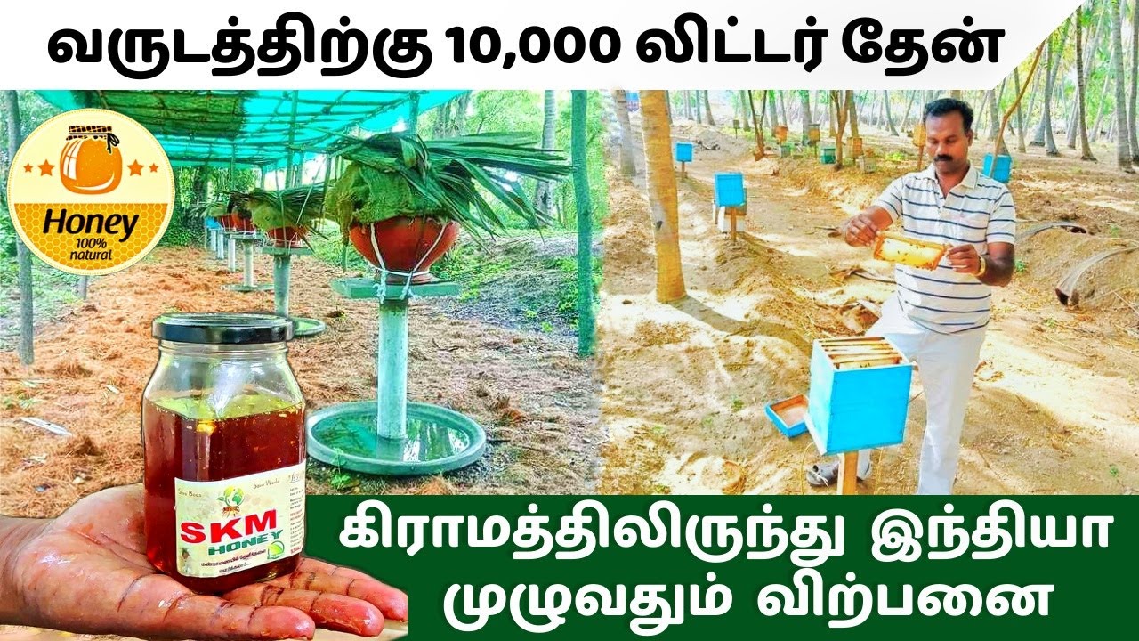 சுத்தமான தேன் | கிராமத்திலிருந்து இந்தியா முழுவதும் அனுப்பி வைக்கும் விவசாயி! | Largest Honey Farm.