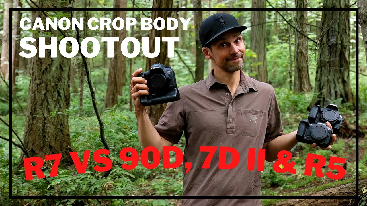 Canon R7: Сравнительный тест ISO: сравнение R7 с R5, 90D и 7D Mark II