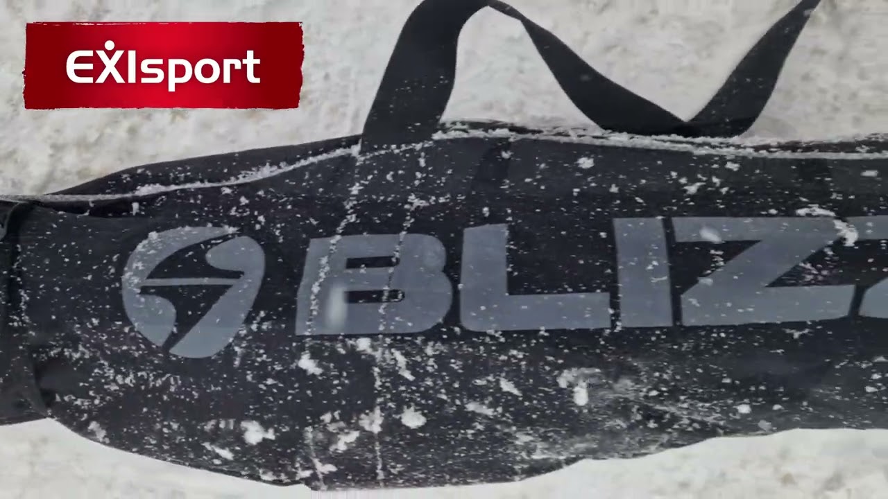EXIsport: BLIZZARD Ski bag Premium for 2 pairs, black/silver