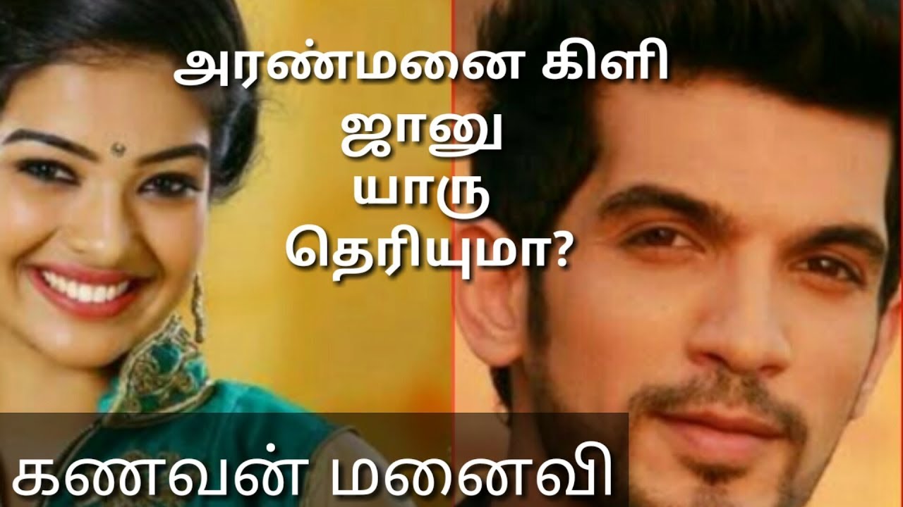 Aranmanai kili heroin jaanu | personal information in education and husband