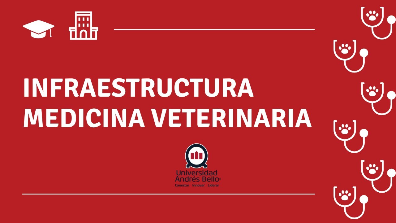 Conoce nuestras instalaciones de Medicina Veterinaria UNAB