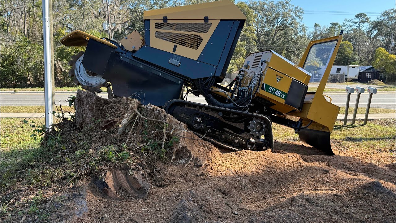 BIG OLD RED OAK STUMP GRIND Vermeer SC48TX