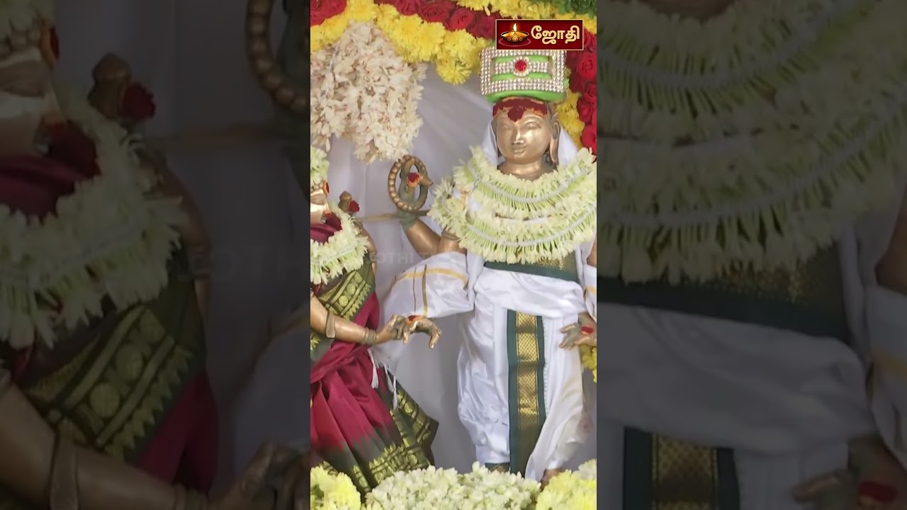 சிறுவாபுரி ஸ்ரீ பாலசுப்பிரமணிய சுவாமி கோயில் திருக்கல்யாணம் | Siruvapuri Murugan Temple | JothiTv