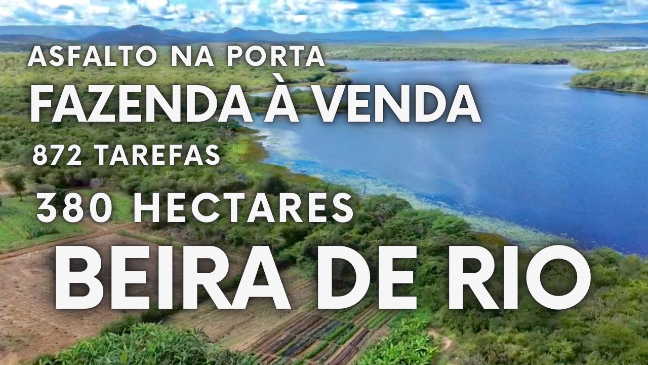 Fazenda à venda 380 hectares | @reidolote  | Itaetê - Ba | Beira de rio navegável