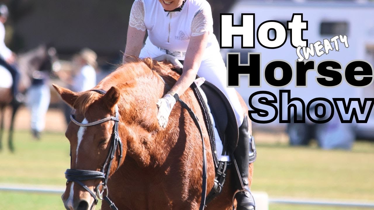 ☀️Dressage SHOW DAY 🥇🥉#horse #equestrianjourney #horsegirl #dressage #horseshow