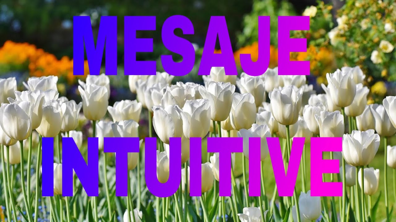 REZOLVĂ TOATE NEÎNȚELEGERILE ÎN CUPLU,ÎN FAMILIE🏡 ÎNCEPE SĂ VORBEȘTI 💫✨😇💯🌠