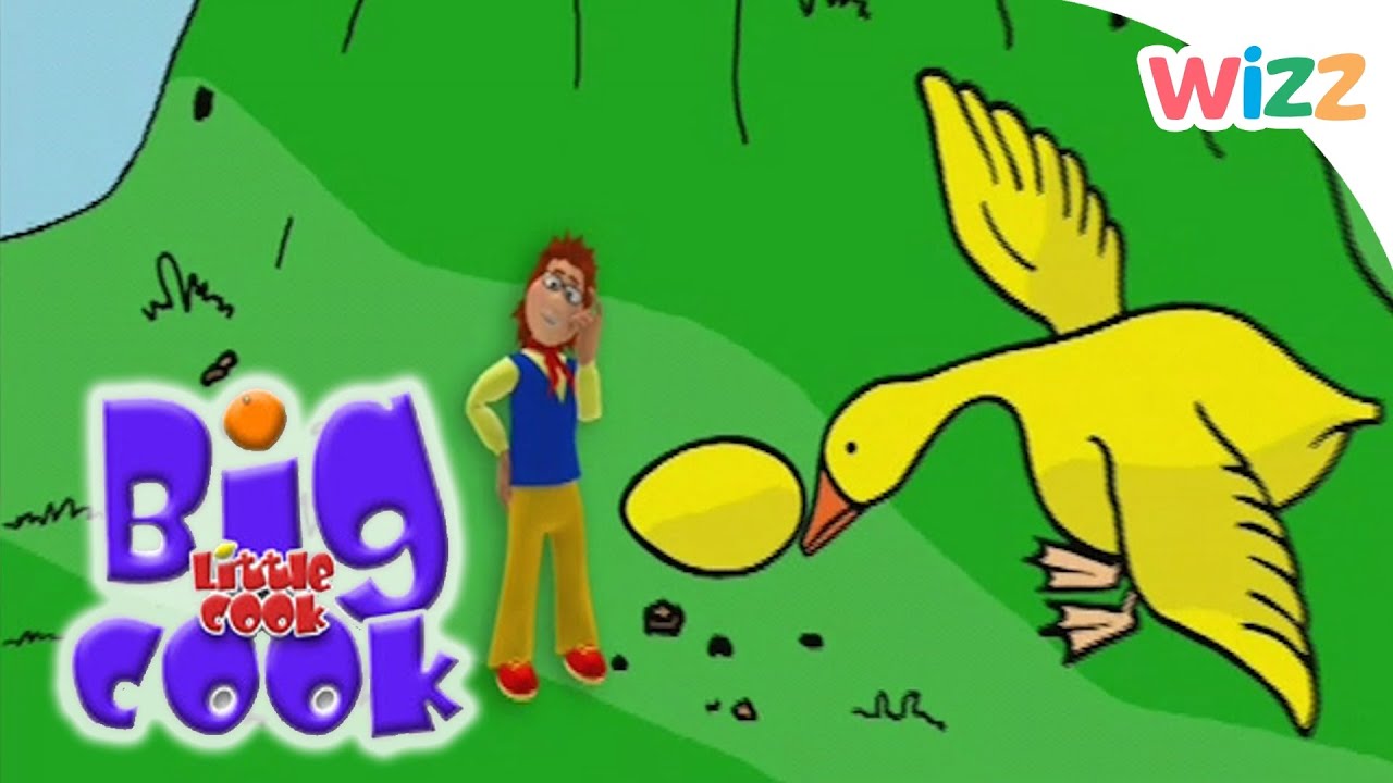 Big Cook Little Cook - Golden Goose