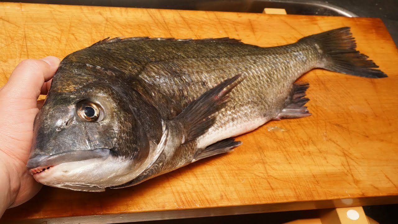 クロダイの洗い（刺身を氷水で締めた独特の食感）