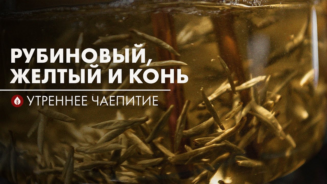 Новый чай! Шу пуэр, рубиновый и желтый | Стрим Art of Tea