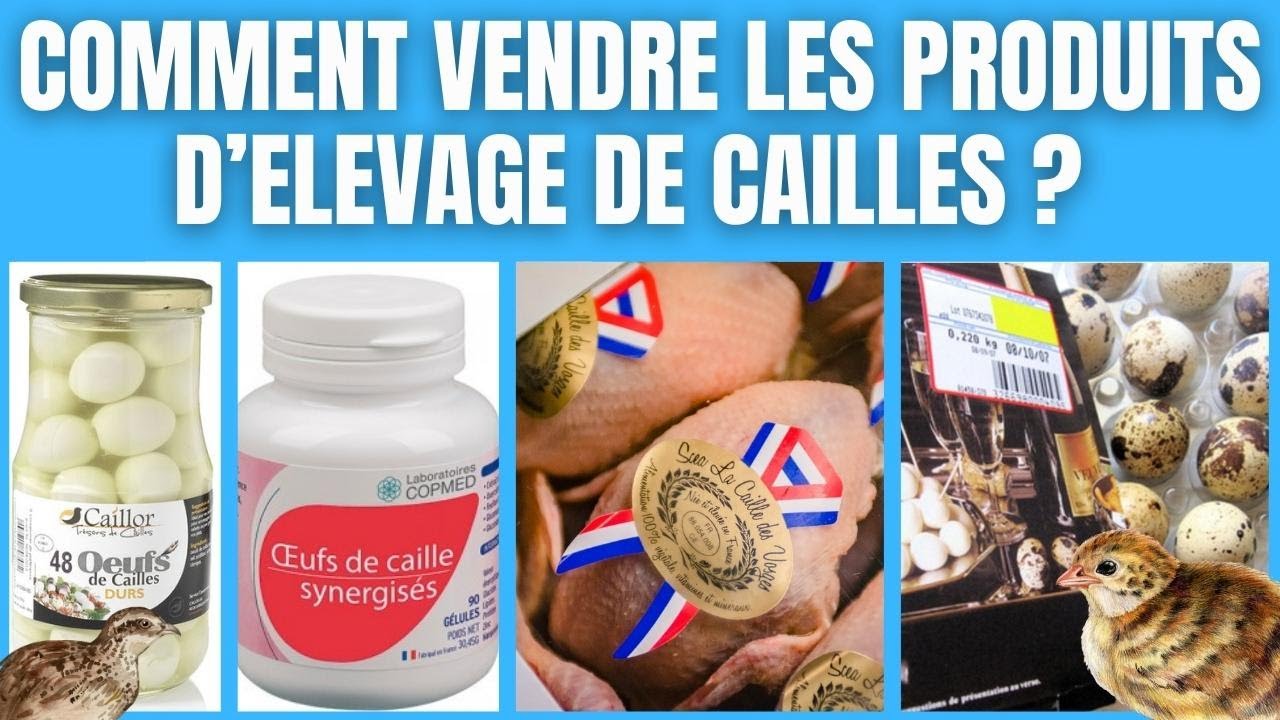 AGROPASTORAL - Votre incroyable réussite dans la Vente de Cailles. 