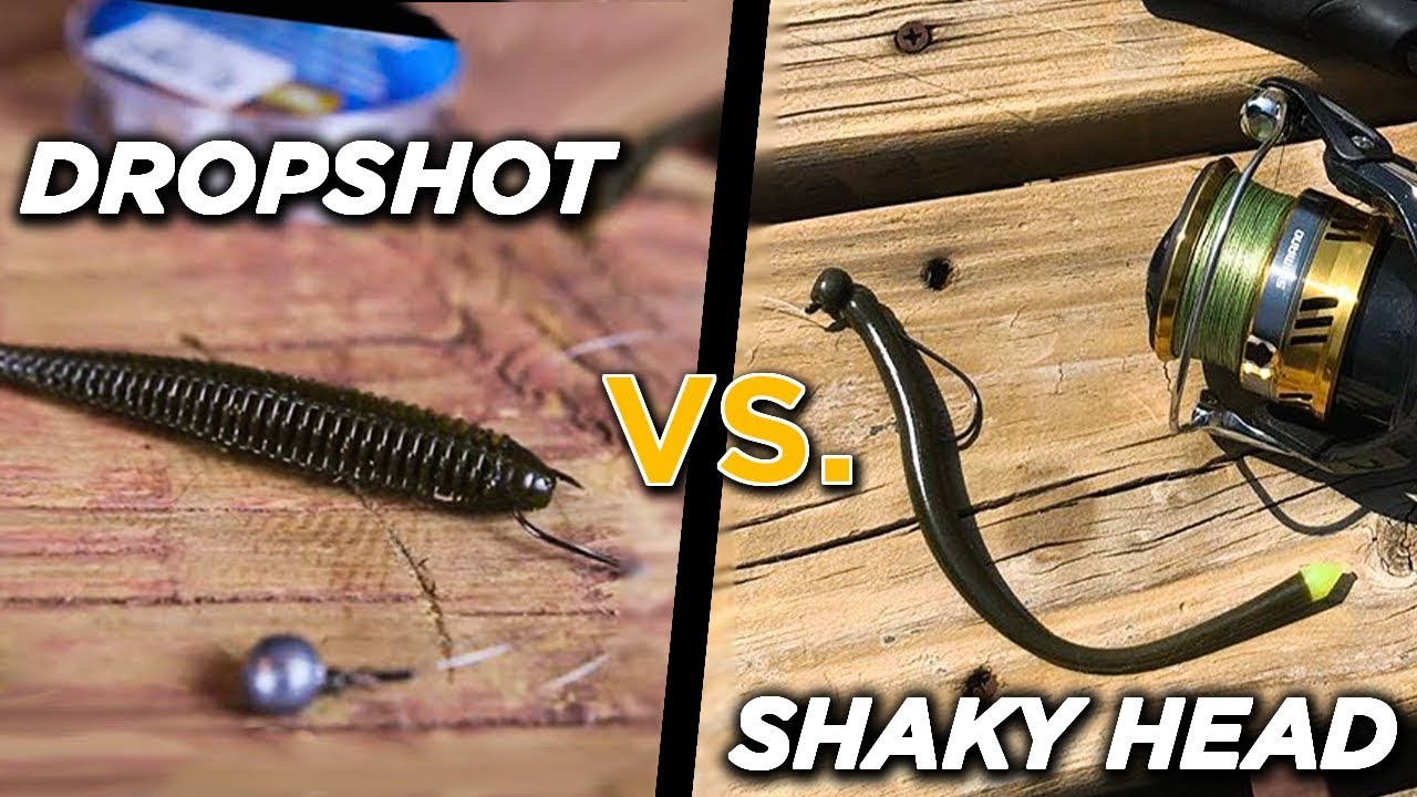 DROPSHOT vs. SHAKY HEAD | When To Use Each Finesse Fishing Rig