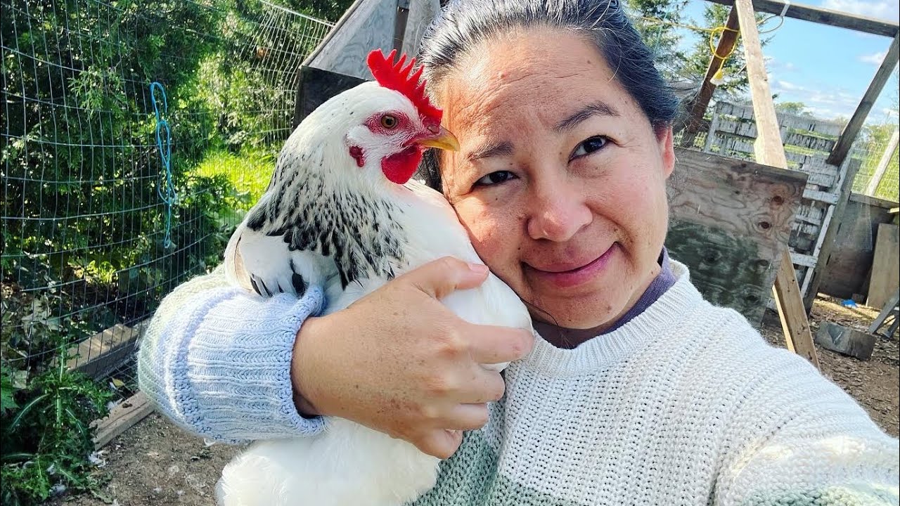 Un dia en la finca con mis animales