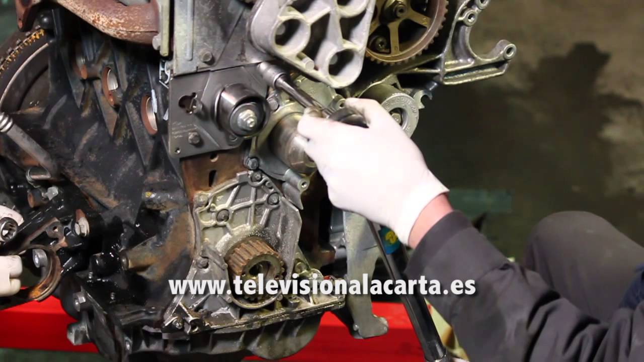 Cambio de la correa de distribución