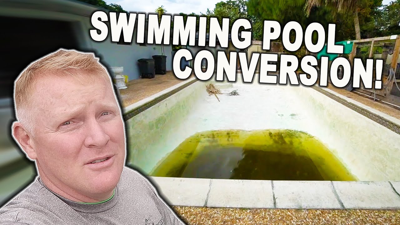 Amazing *POOL to POND CONVERSION* with a Wetland Filter