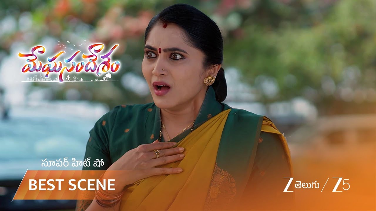 MEGHASANDESAM | గగన్ పై పగతో రగిలిపోతున్న శరత్ చంద్ర...