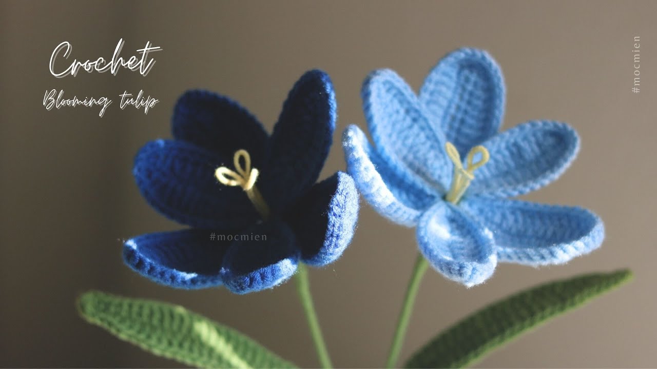 [Eng sub] Crochet blooming tulip 🌷 |  Cách móc hoa tulip nở bằng len đơn giản nhất | Moc Mien
