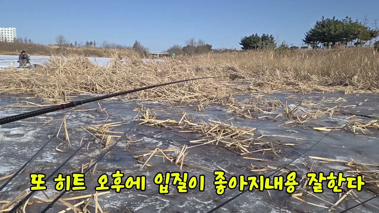 #붕어 얼음낚시  대박조황# 서산1번지 사장님? 헉!