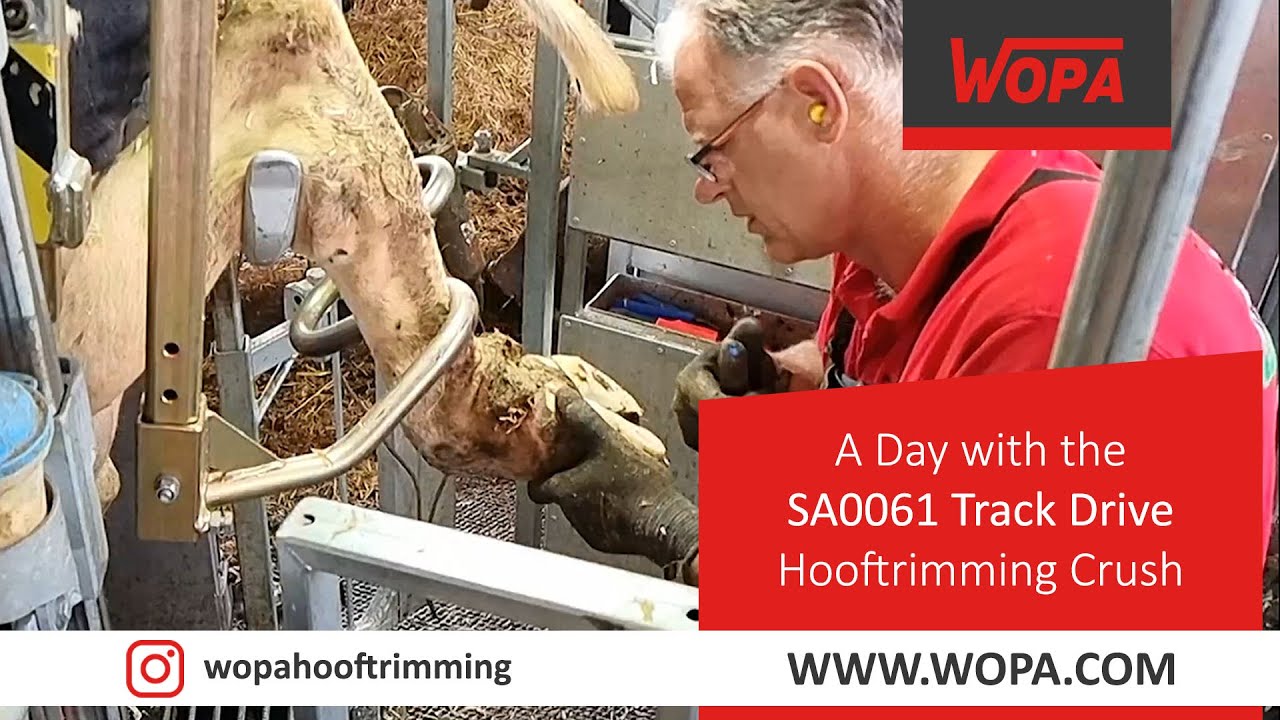 A Day with the SA0061 Track Drive Hooftrimming Crush