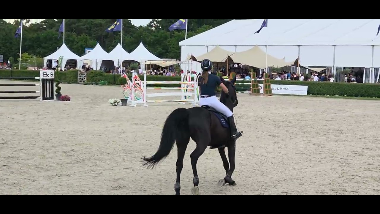 Giona Z (George Z x Guidam, 2016) Golden boot Lanaken 2025 1.30m 