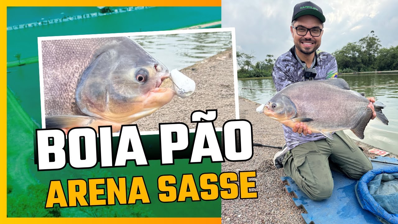 Como pescar TAMBA com BOIA P&Atilde;O: O Guia Definitivo para Iniciantes.