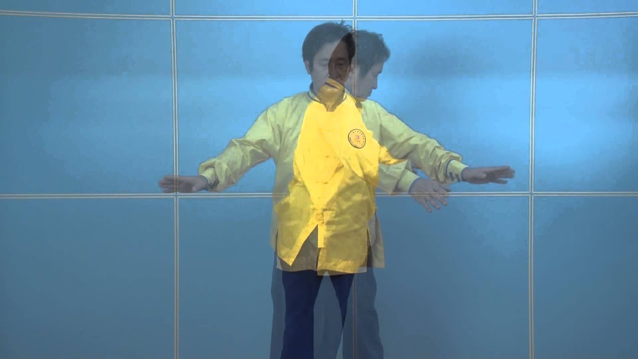 功夫龍：『氣功論證』第10回。Porf Jou : Getting to the Truth of Qigong.  Chapter 10