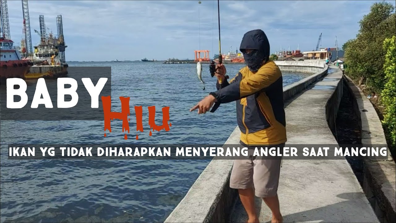 Info/rute spot gratis Dam marunda || Dam marunda rumah Pitung || Fishing empire.