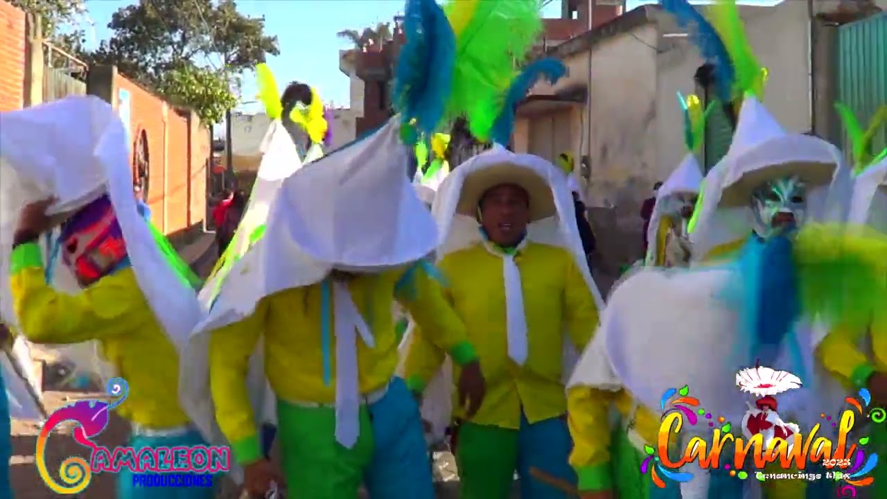Carnaval Tenancingo tlax... TOREROS Domingo 2023