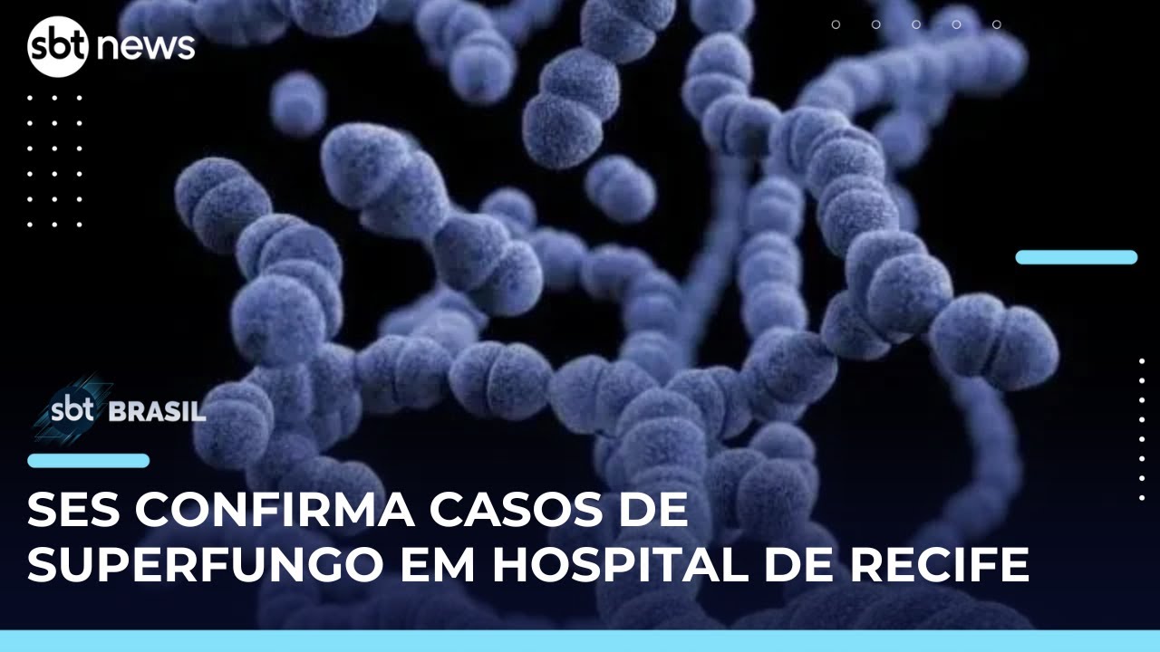Superfungo: tr&ecirc;s casos s&atilde;o confirmados em hospital do Recife | #SBTBrasil