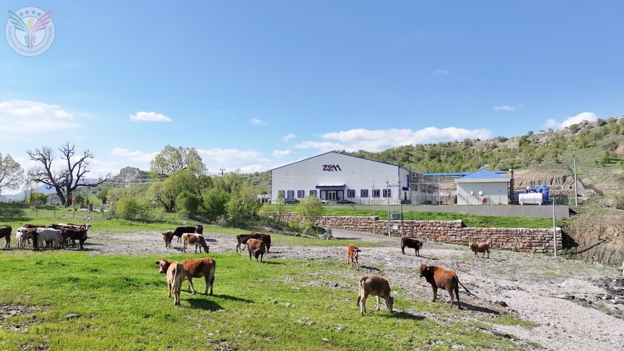Zom company - Dairy products in Kurdistan.
