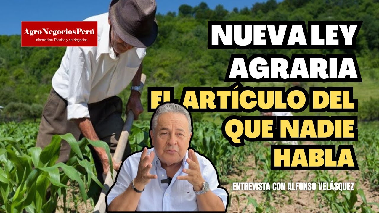 Nueva Ley Agraria: este es el incentivo que unirá a empresarios con pequeños productores