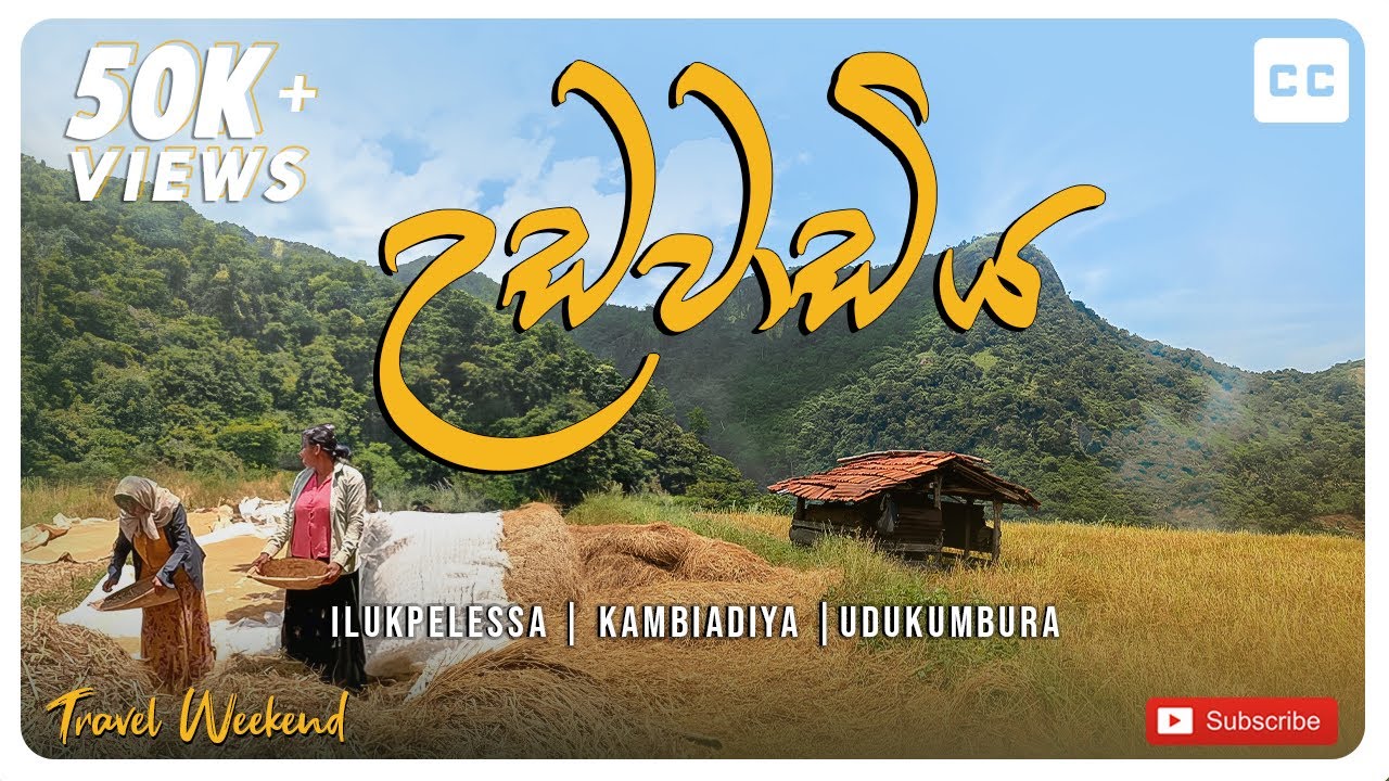Udawadiya Village Travel Documentary | Gona Panna Ella #overlanding #travelweekend #offroad #4x4